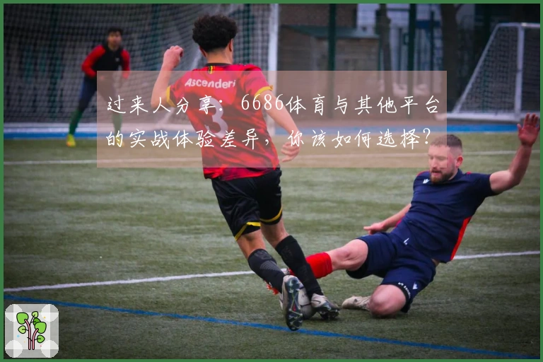 过来人分享：6686体育与其他平台的实战体验差异，你该如何选择？