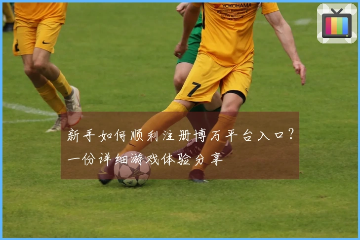 新手如何顺利注册博万平台入口？一份详细游戏体验分享